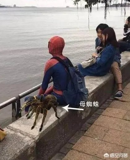 你见过最有趣的P图是怎样的,举例说明下?