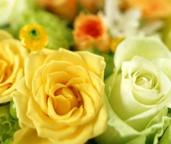 30年是什么婚 珍珠婚适合送什么礼物