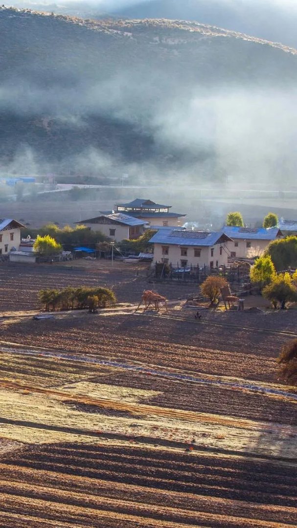 如何看待周慧敏？