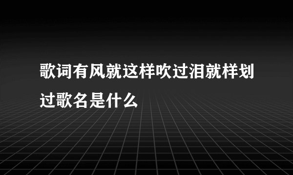歌词有风就这样吹过泪就样划过歌名是什么