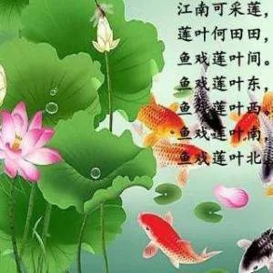 《汉乐府江南》全诗是什么？