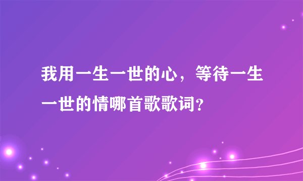我用一生一世的心，等待一生一世的情哪首歌歌词？
