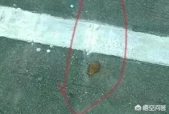 交警对于驾考作弊有哪些整治手段？