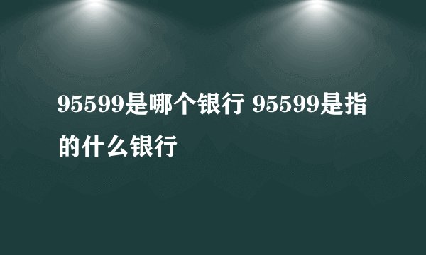 95599是哪个银行 95599是指的什么银行