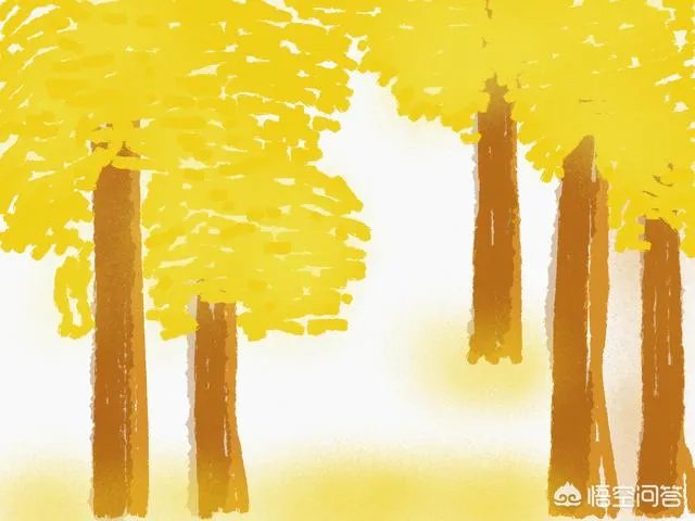 崔雪莉ins画作解读