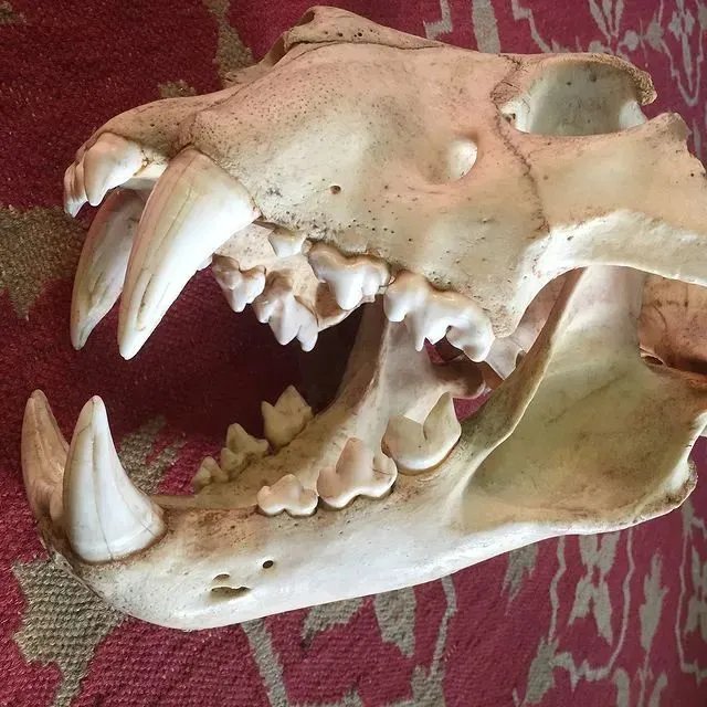 捡垃圾没出息？他在凌晨3点做了一生中最有意义的事情