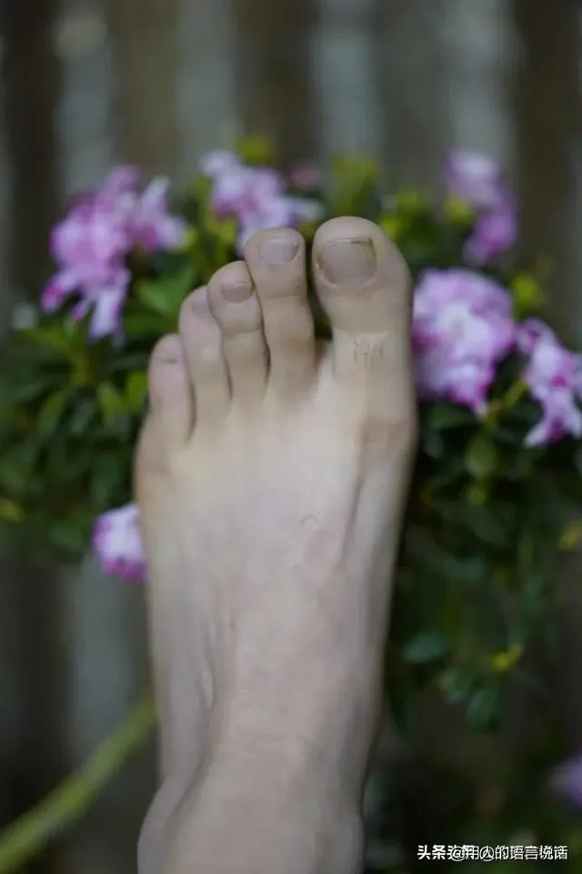 据说茅台股价在跌,什么时候茅台酒也降价到我们普通百姓能喝的起?