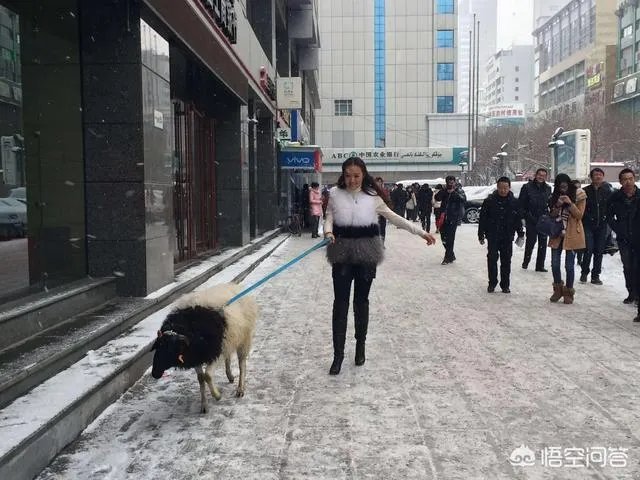 乌鲁木齐维族女人最多的地方