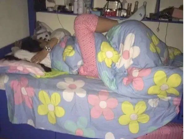 手机里最搞笑的图是哪一张？