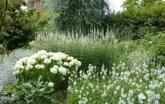 典型英式花园的精髓