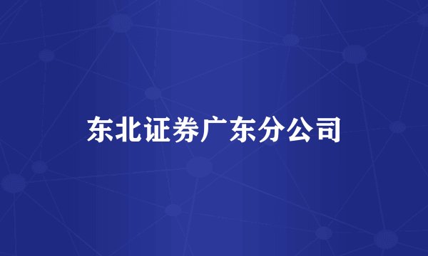 东北证券广东分公司