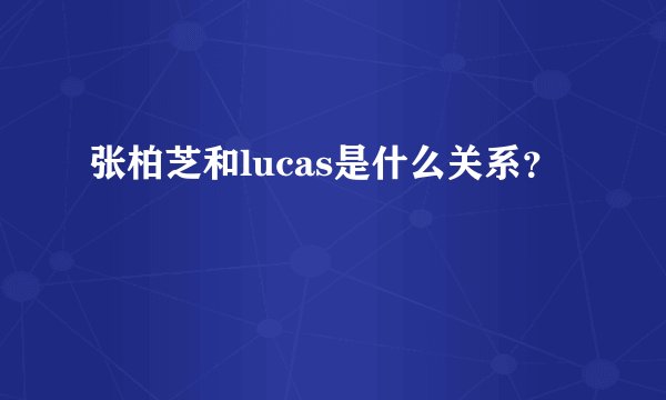张柏芝和lucas是什么关系?