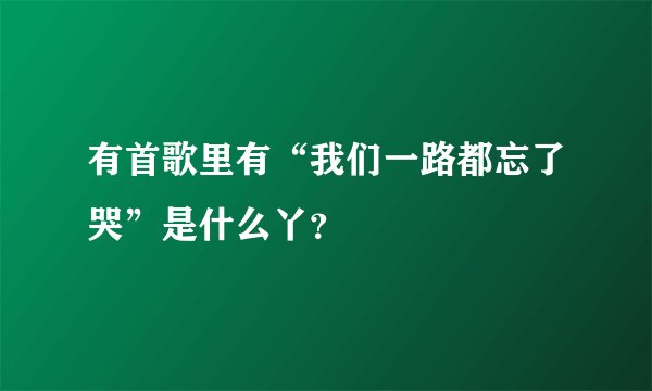 有首歌里有“我们一路都忘了哭”是什么丫？