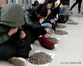 你在课堂上（正在上课）偷吃过什么东西？被发现没？