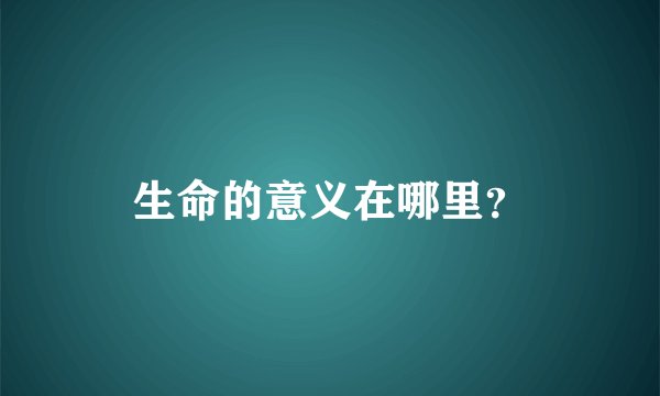 生命的意义在哪里？