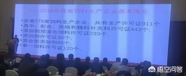 安徽猪饲料排名