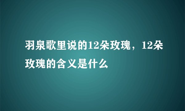 羽泉歌里说的12朵玫瑰，12朵玫瑰的含义是什么
