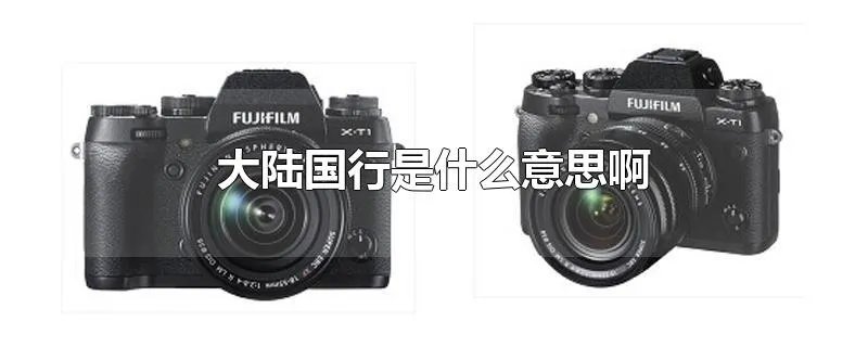 大陆国行是什么意思啊
