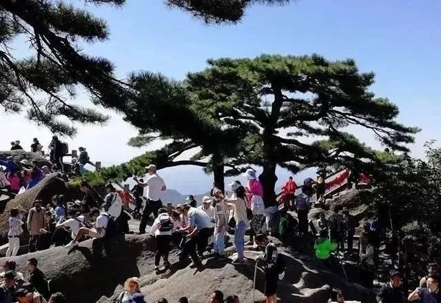 就黄山景区游客爆满，你怎么看？