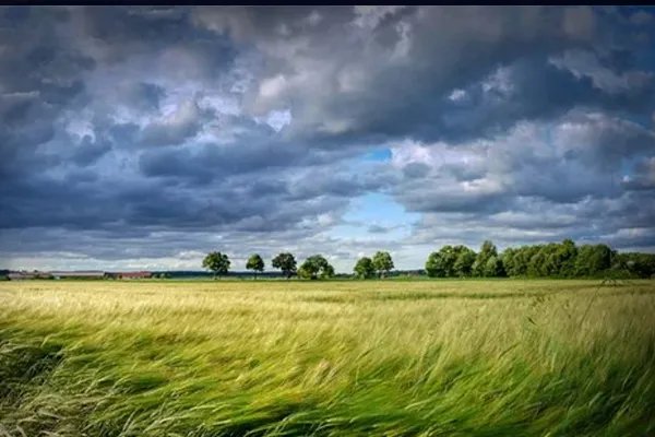 八级大风有多大 八级大风可以外出吗