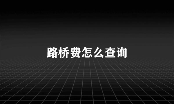 路桥费怎么查询