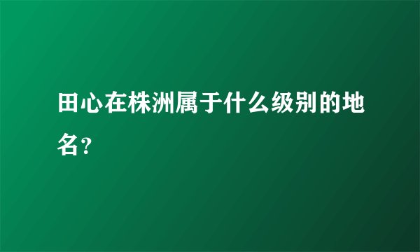 田心在株洲属于什么级别的地名？