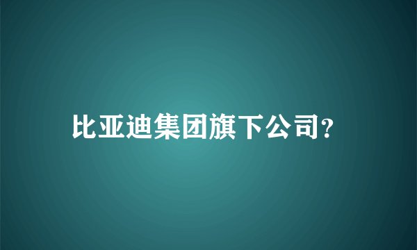 比亚迪集团旗下公司？