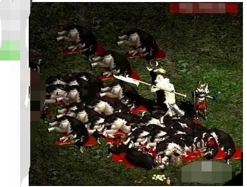 怀特之腿怎么用?