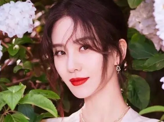 又胜诉了!刘诗诗名誉权案新进展,被告要赔她6万元,已登报道歉,为什么?