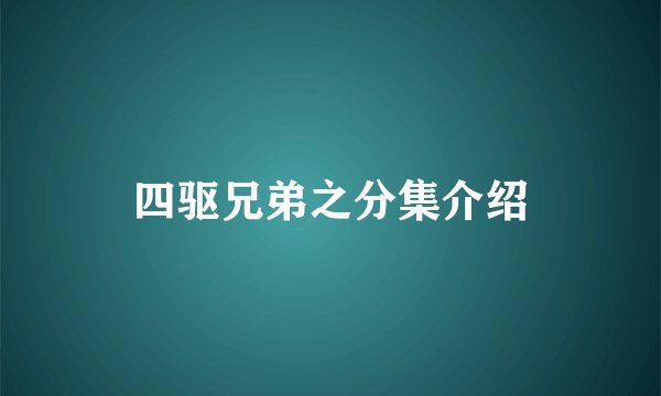 四驱兄弟之分集介绍