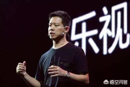 2017年乐视网为什么会在一年的时间里亏损那么多钱？