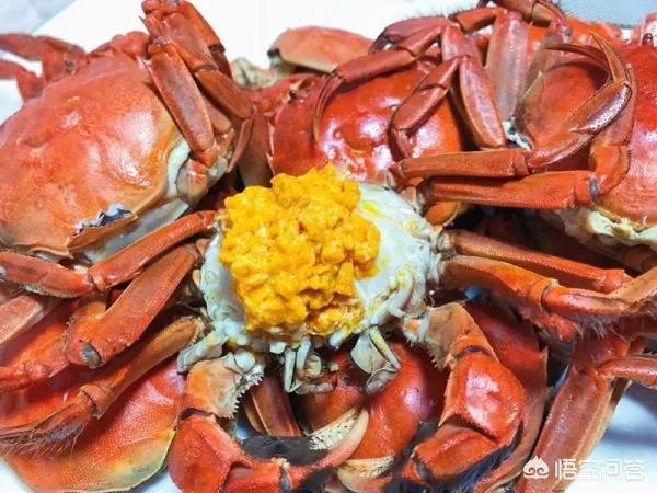 大闸蟹蒸多久如何把握最佳时间？