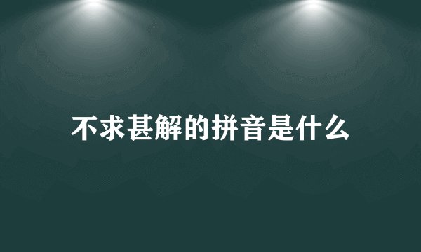 不求甚解的拼音是什么