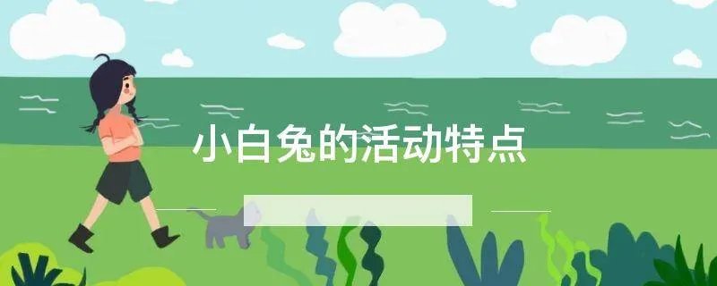小白兔的活动特点