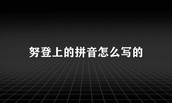 努登上的拼音怎么写的