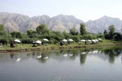 上百人清晨百米冲刺抢钓鱼位，为什么越来越多的人喜欢上钓鱼？