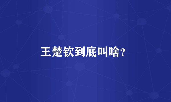 王楚钦到底叫啥？