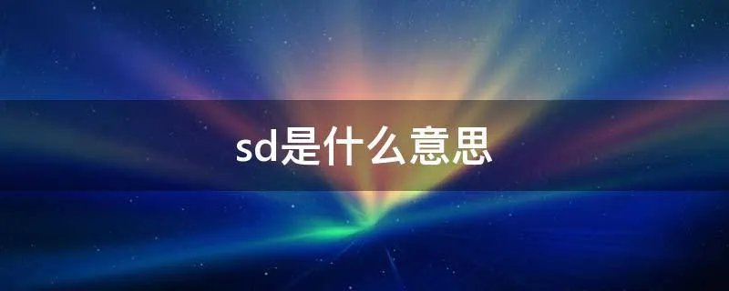 sd是什么意思