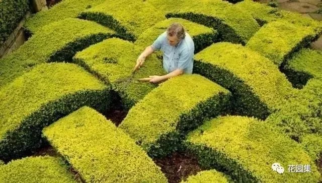 典型英式花园的精髓