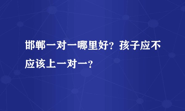 邯郸一对一哪里好？孩子应不应该上一对一？