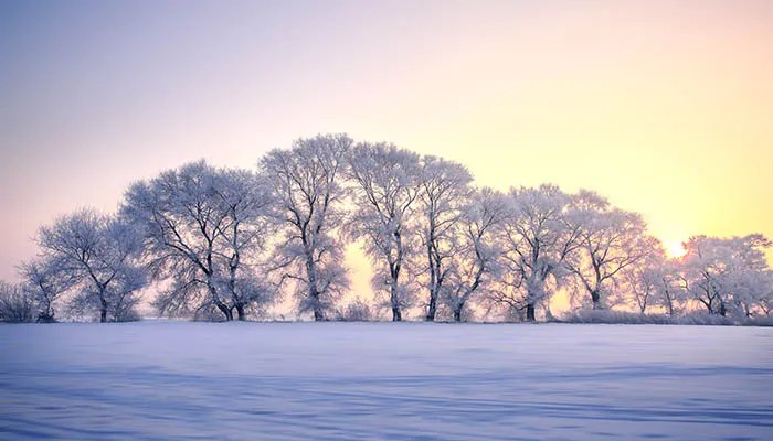 2022大雪节气哪一天 2022大雪节气是什么时候