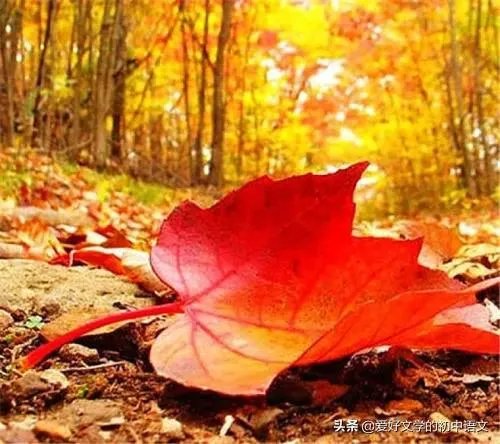 如何看待六部门要求教师不得“拖堂”或提前上课？