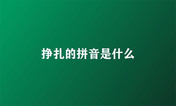 挣扎的拼音是什么