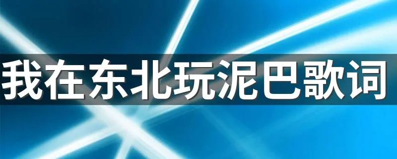 我在东北玩泥巴歌词 大家一起来看看吧