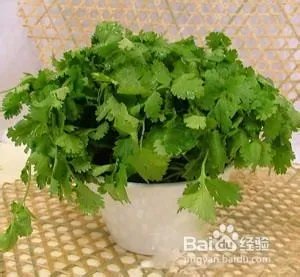 感光食物有哪些？