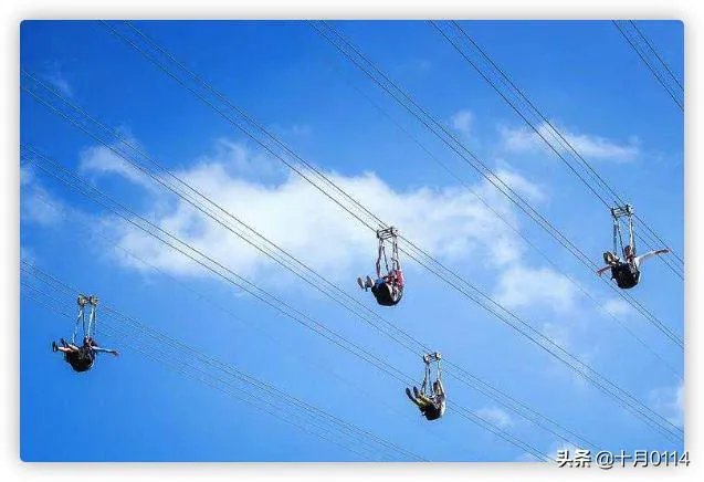 拓展训练有哪些项目?