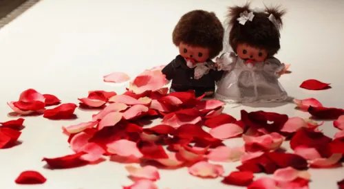 属牛跟属牛结婚好不好 牛和牛相配婚姻如何