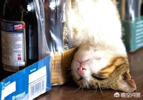 喝酒断片后，你经历过哪些尴尬？