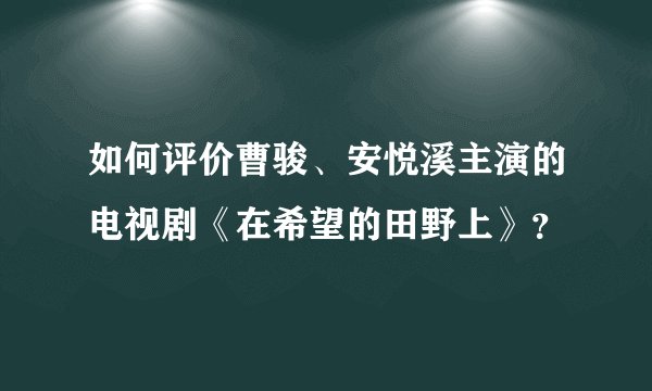 如何评价曹骏、安悦溪主演的电视剧《在希望的田野上》？