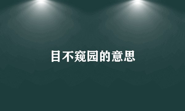 目不窥园的意思